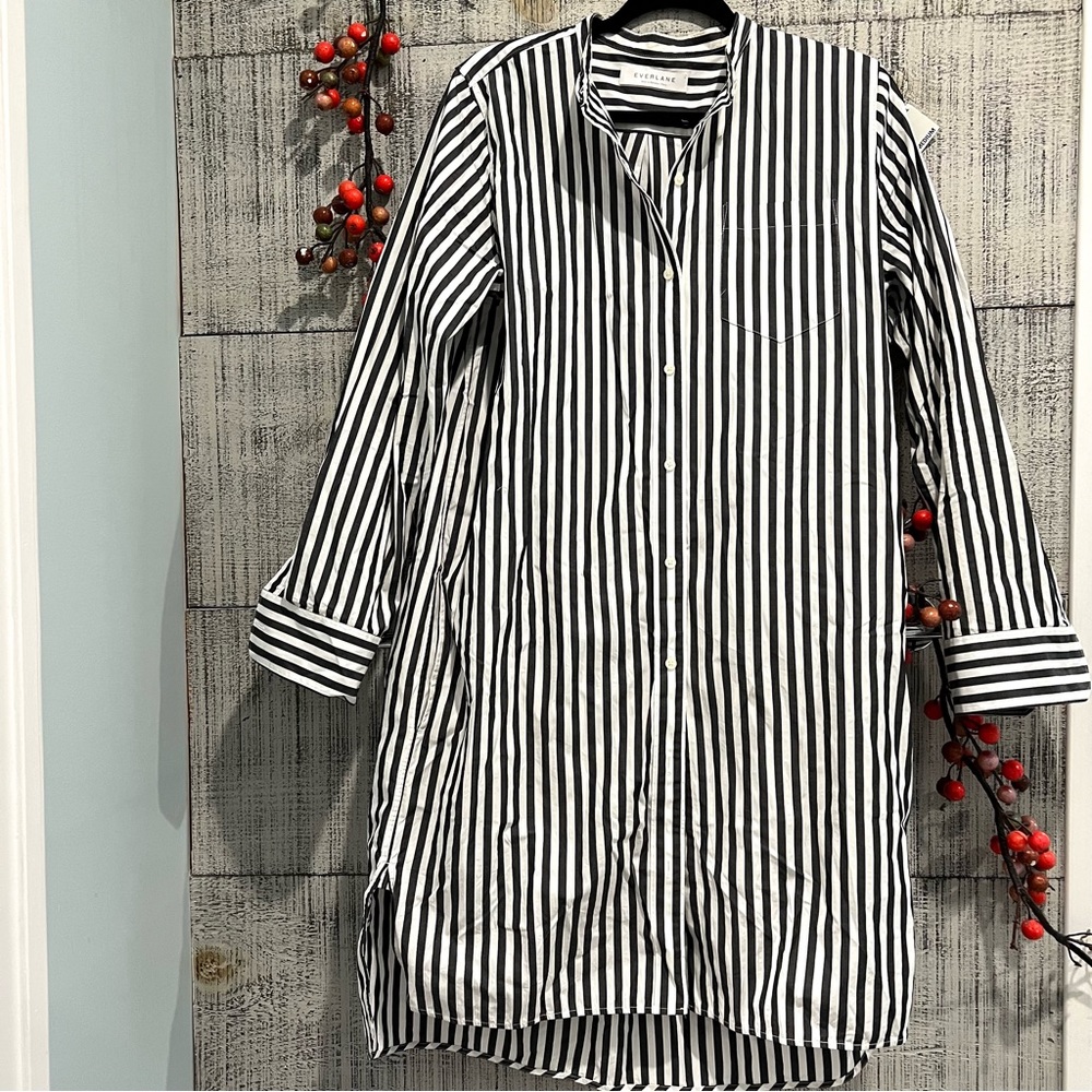 Everlane Black and White Striped Shirt Dress - Picture 3 of 8